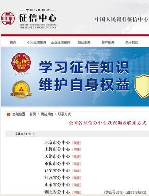 2020最新版全面介紹 個(gè)人征信報(bào)告查詢(xún)指南與征信狀態(tài)解析