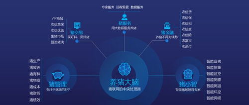 數(shù)據(jù)驅(qū)動(dòng)未來(lái) 市場(chǎng)調(diào)查在產(chǎn)業(yè)發(fā)展與企業(yè)根基構(gòu)建中的核心價(jià)值